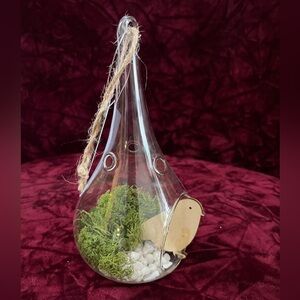 GLASS TEARDROP SHAPE TERRARIUM W/ FAKE ROCKS, MOSS AND BIRD